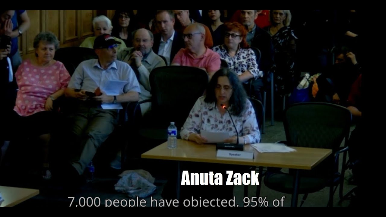 Anuta speaking at the Barnet council Broadwalk decision meeting 23 July