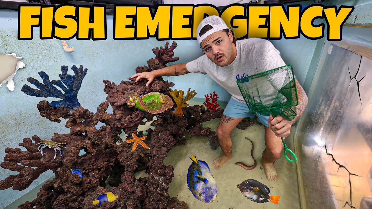 FISH EMERGENCY in My SALTWATER REEF POND!!