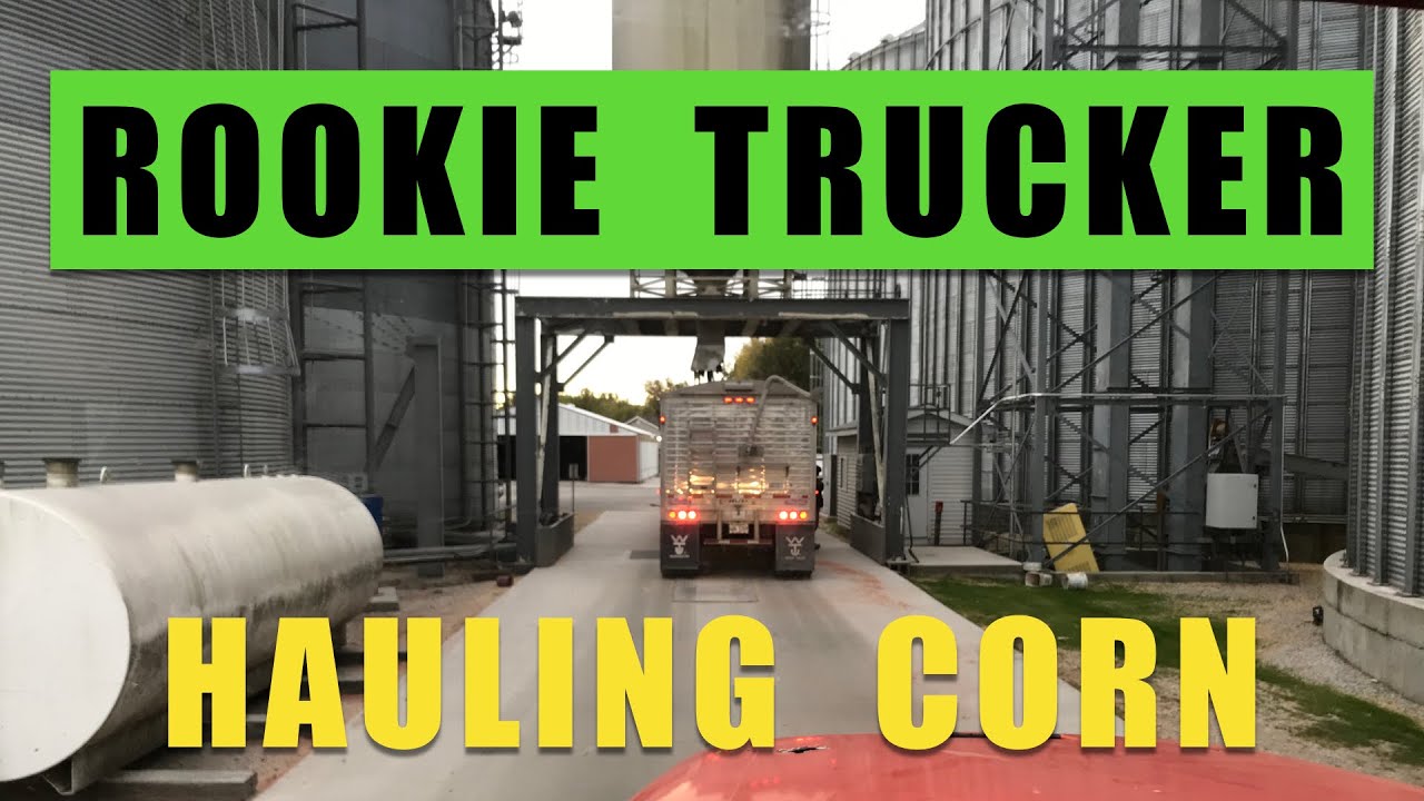 Hauling Corn to Grain Elevator - Rookie Truck Driver (2019)