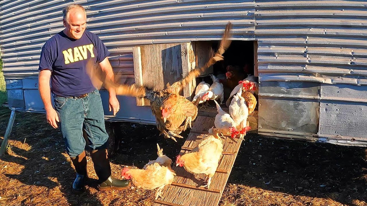 Another Great Day on the Farm!