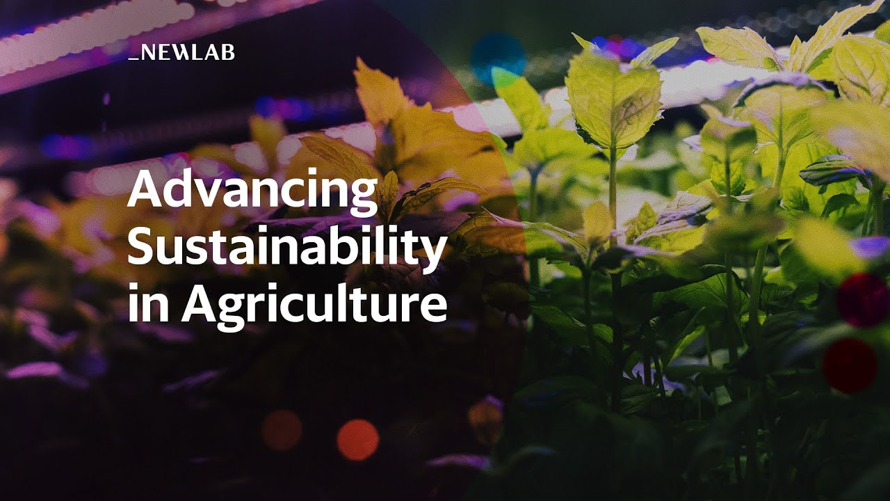Advancing Sustainability in Agriculture