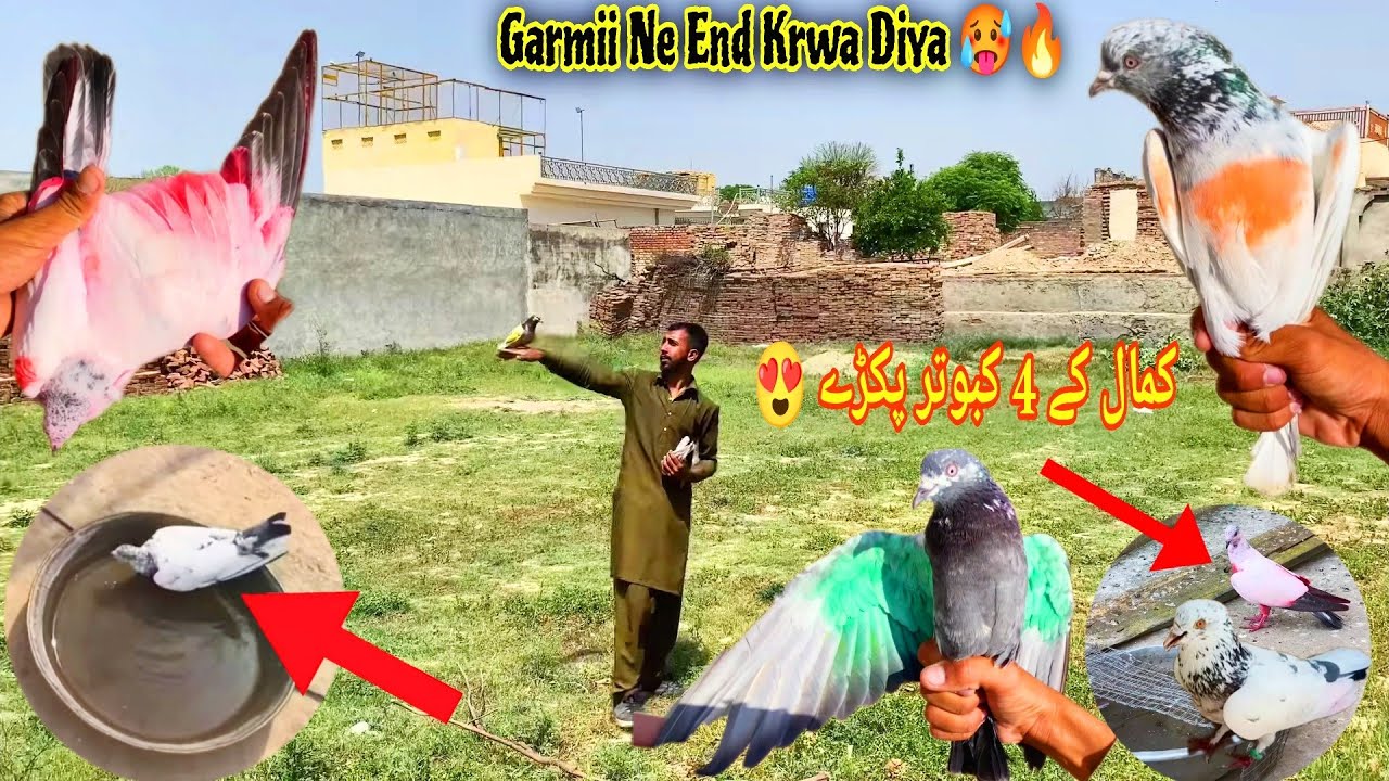 Привет, Garmiii 4_Kabutr Pakre 🔥 Вторые номера сегодня падают на воду 🥵