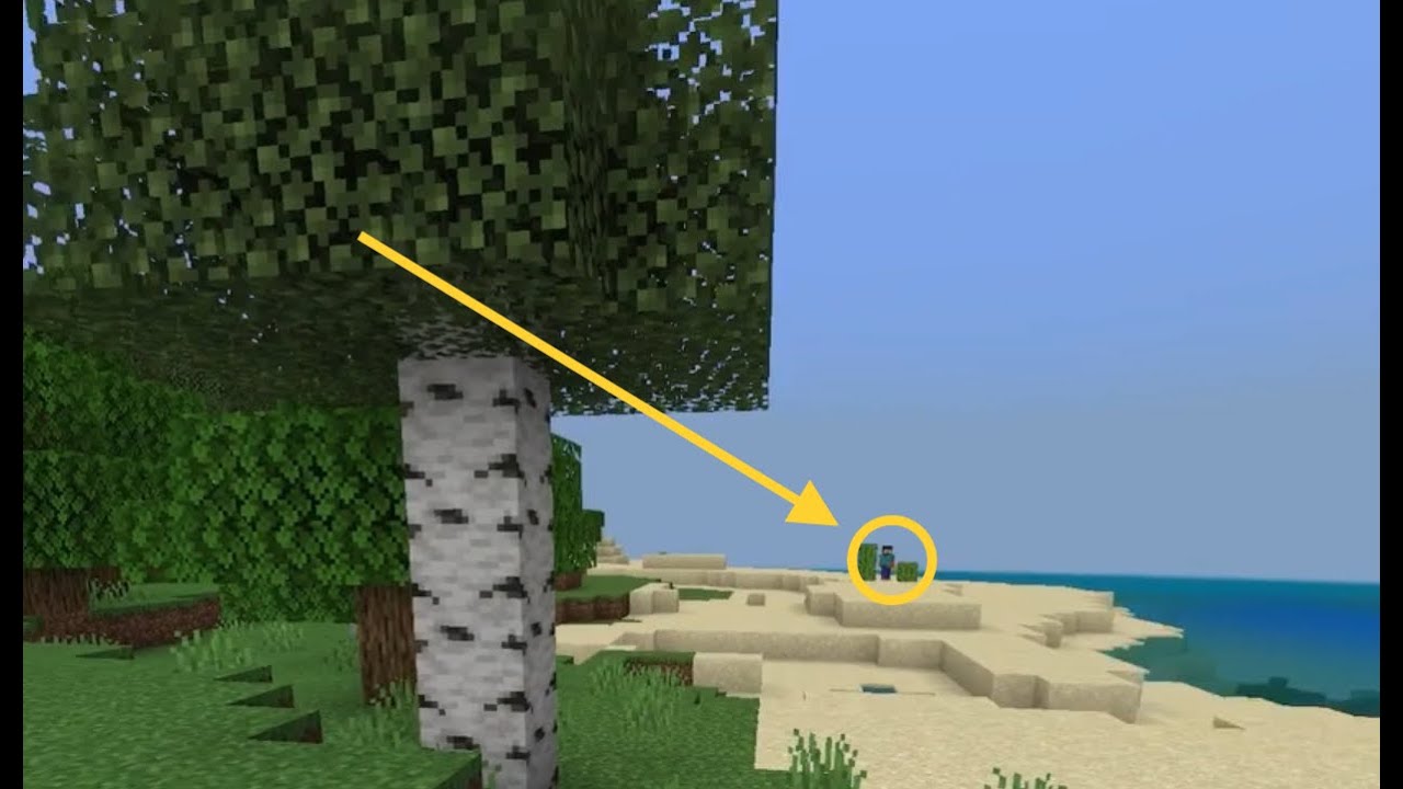 MINECRAFT HEROBRINE SIGHTING! (1.19.21)