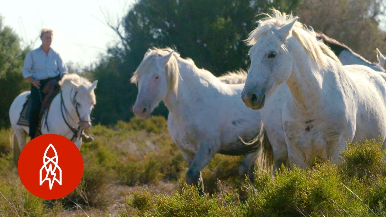 The Last of the French Cowboys