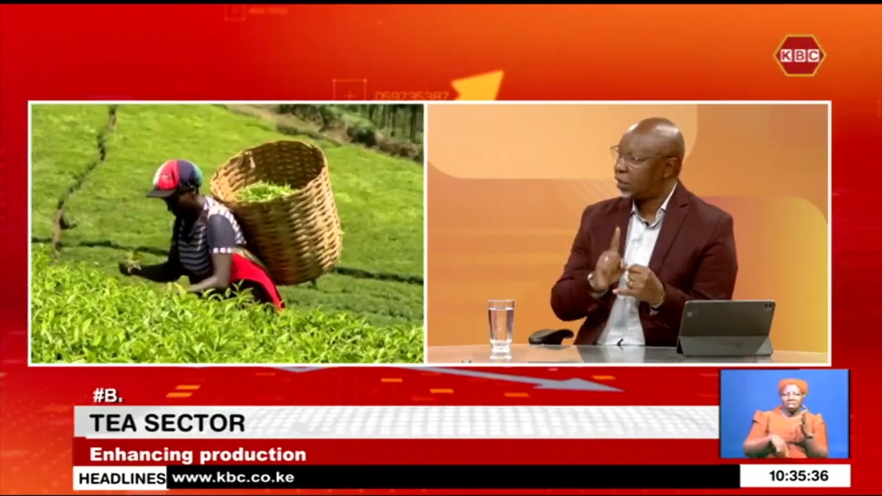 Apollo: Growing less than an acre of tea will not bring profit