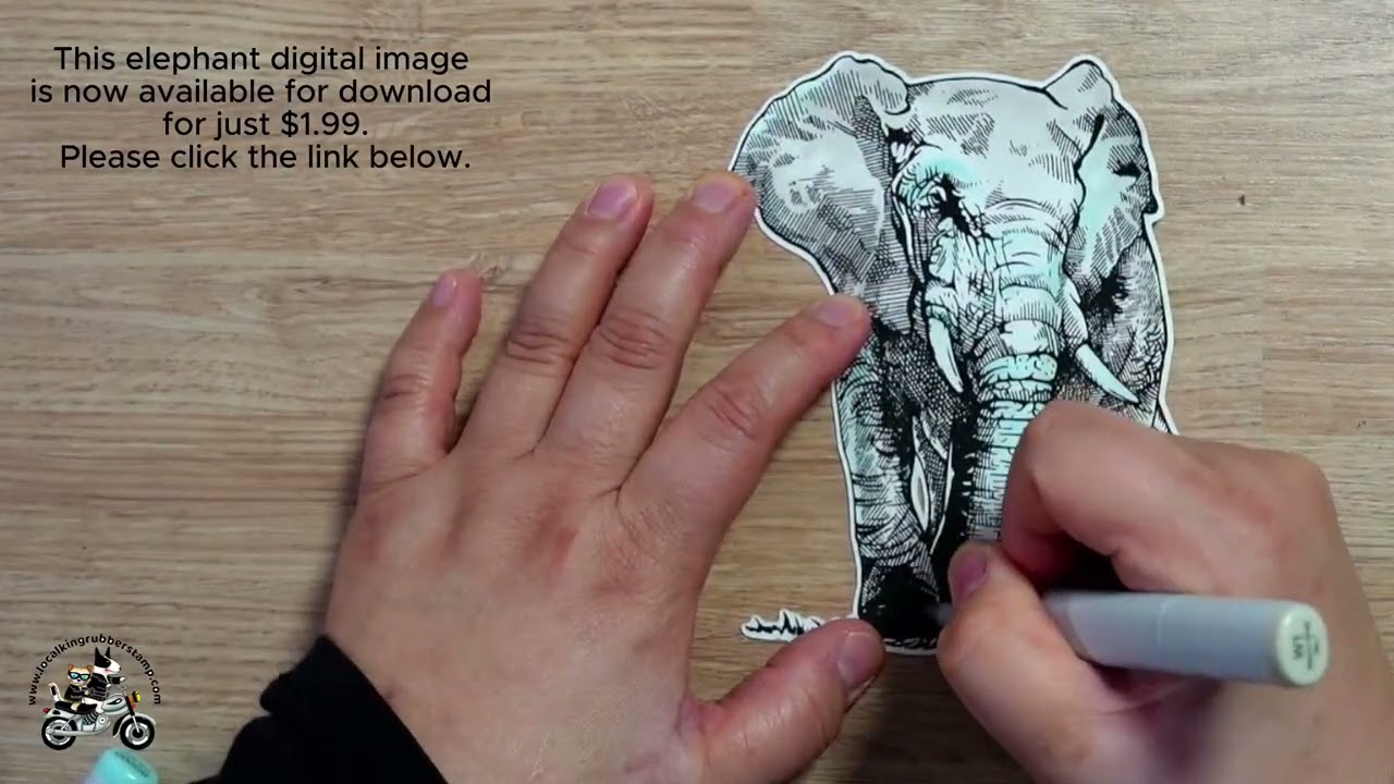 Cards in Any Shape -Elephant- 