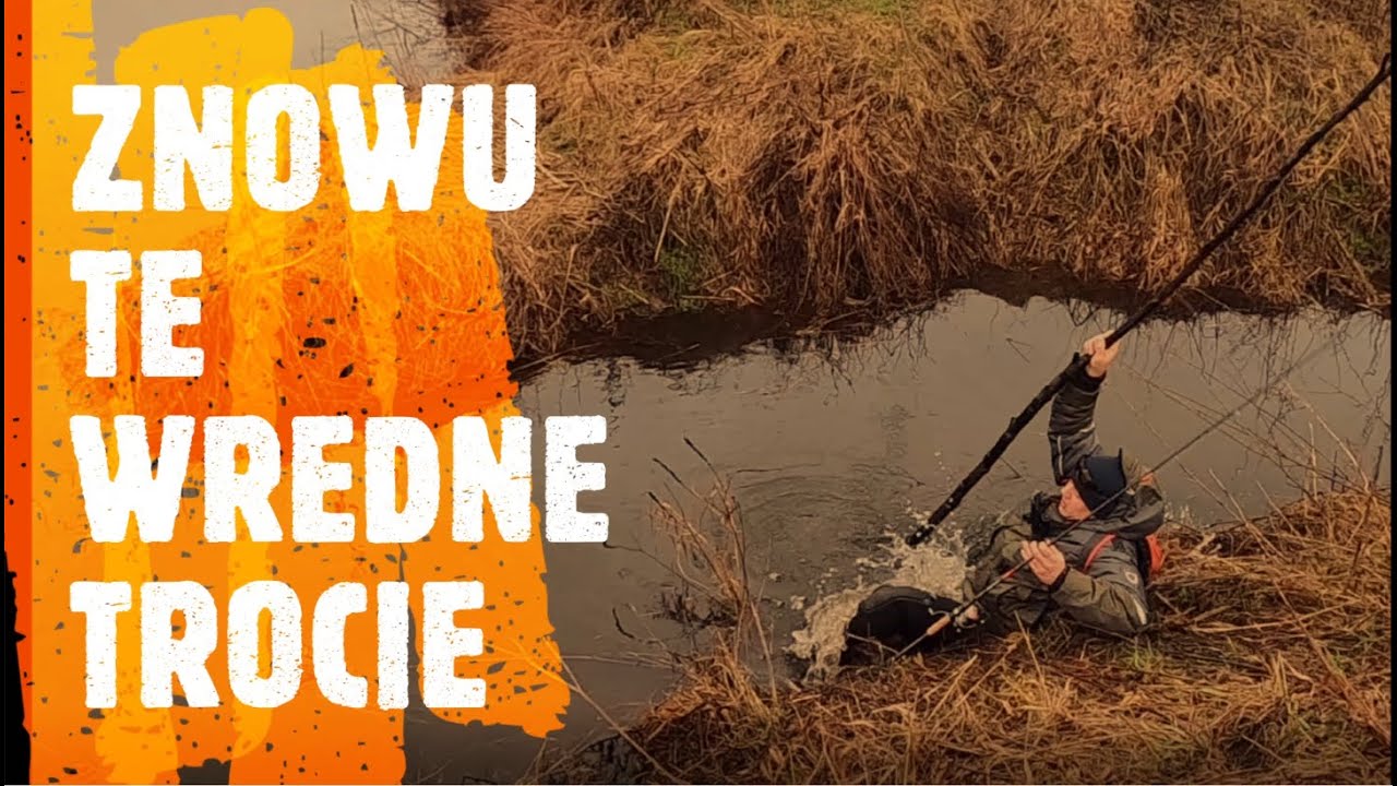 Trociowa wyprawa, ostateczne starcie / odc. 84 @KogutWedkarskiPazur