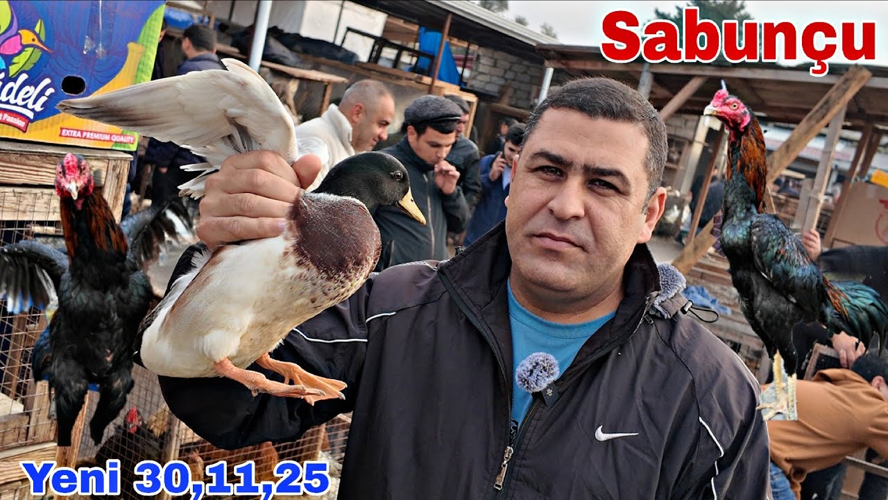 Sabunçu Toyuq Bazarı 30 noyabr 2025 @mubarizemintv2271 