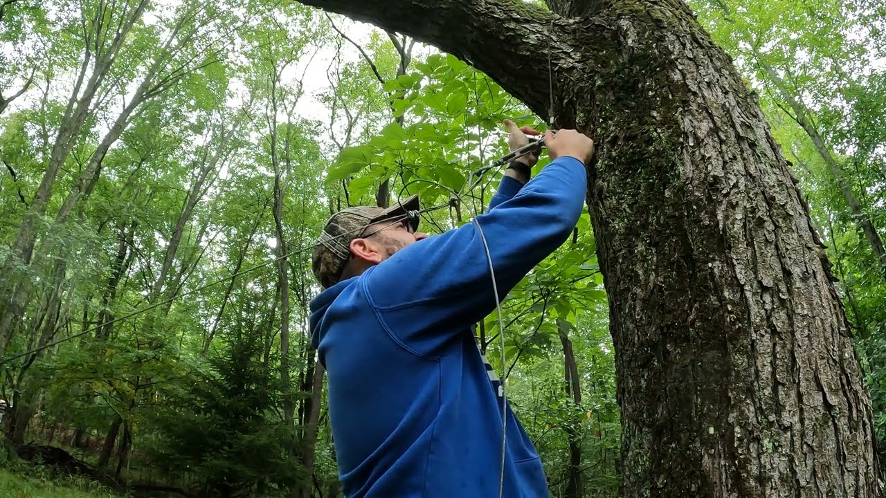 It had to come down - zipline in the woods