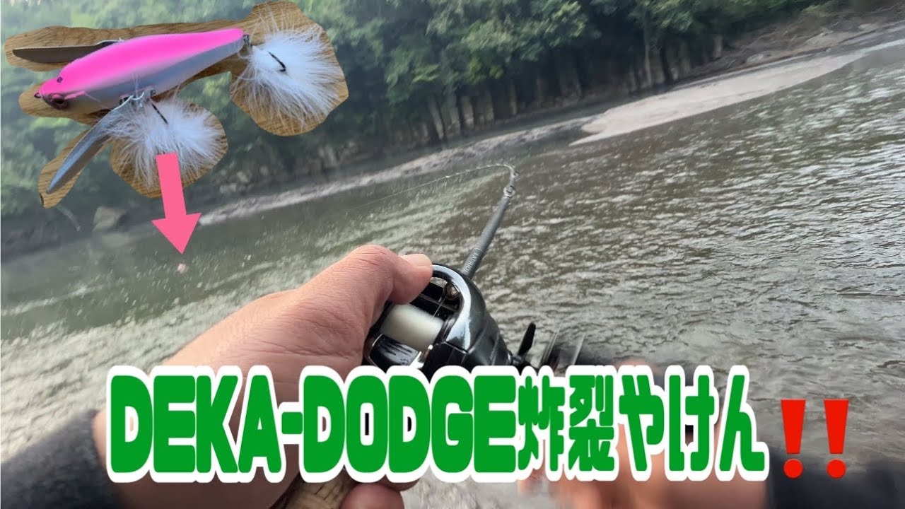 朝4時起きで釣りジャンキー達とバックウォーター攻めてみた卍