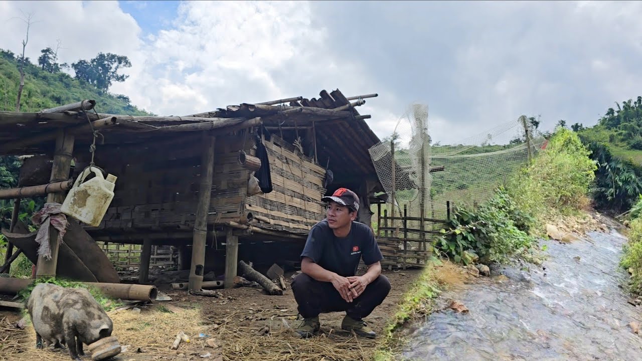 ชาวลาหู่ใช้ชีวิตอยู่ในป่าเลี้ยงหมูไก่,บรรยากาศน่าอยู่มากครับ[อาข่าน้อย]