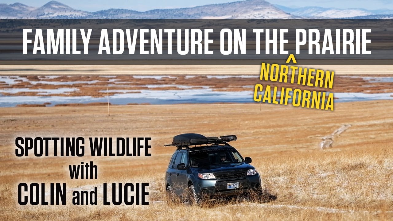 Open Prairies and Wildlife in NorCal Wilderness