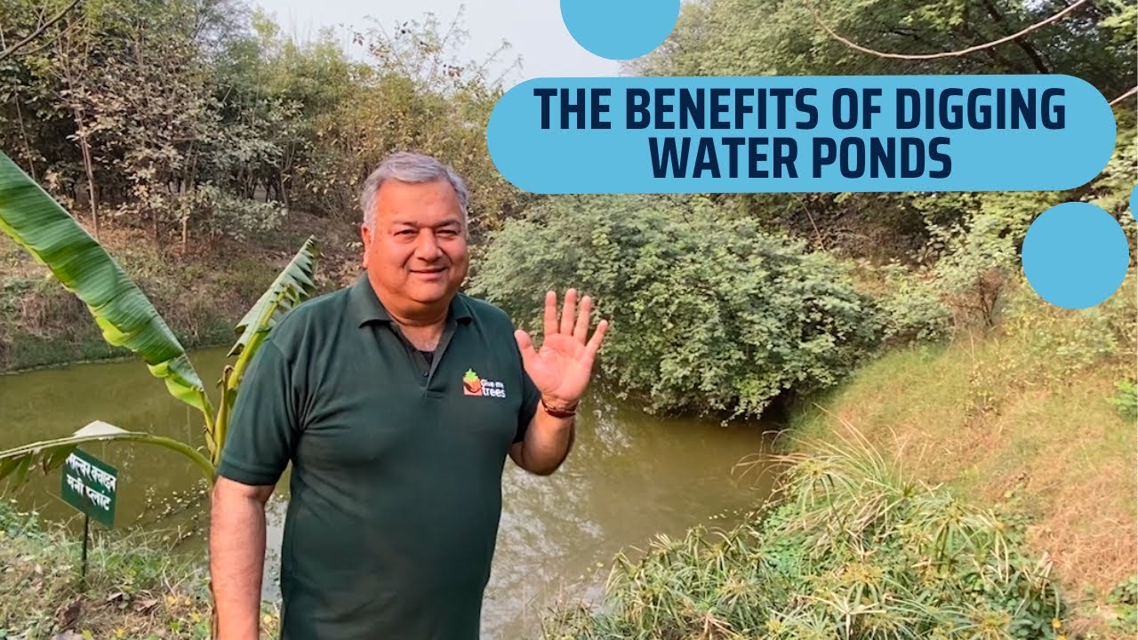 The benefits of digging water ponds