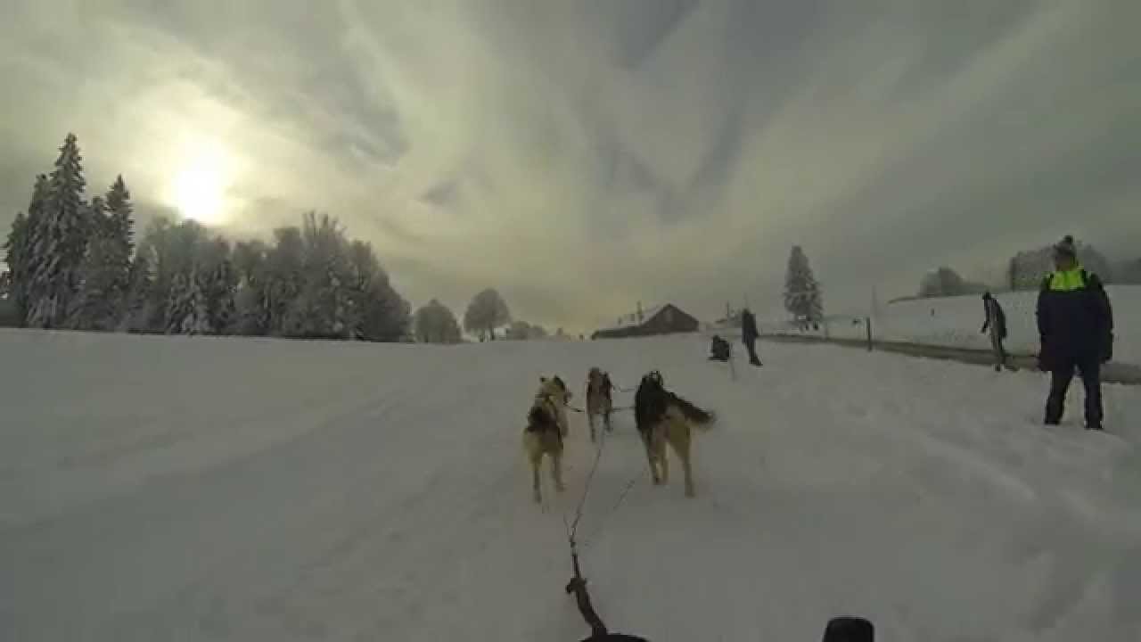 Saignelégier 24-25 janvier 2015 HD vidéo By StanMushing