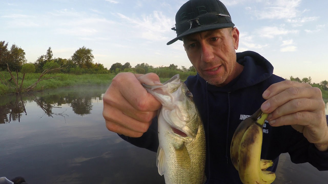 Topwater Myth busting Fishing with Bananas Day 2