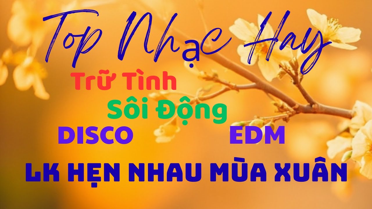 Hẹn Nhau Mùa Xuân - Nhạc Disco Sôi Động - Nhạc Trữ Tình EDM - Nhạc Sống Hay Mới Nhất