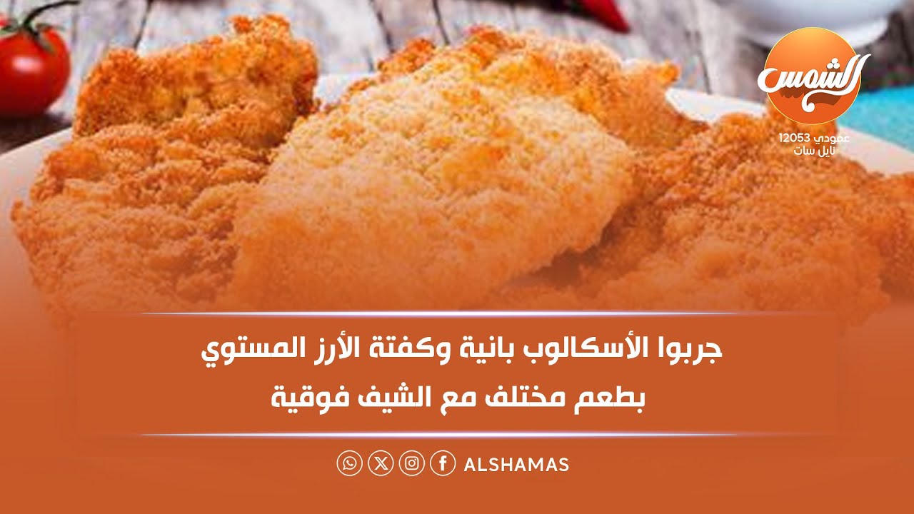 في بيت فوقية | جربوا الأسكالوب بانية وكفتة الرز المستوي بطعم مختلف مع الشيف فوقية