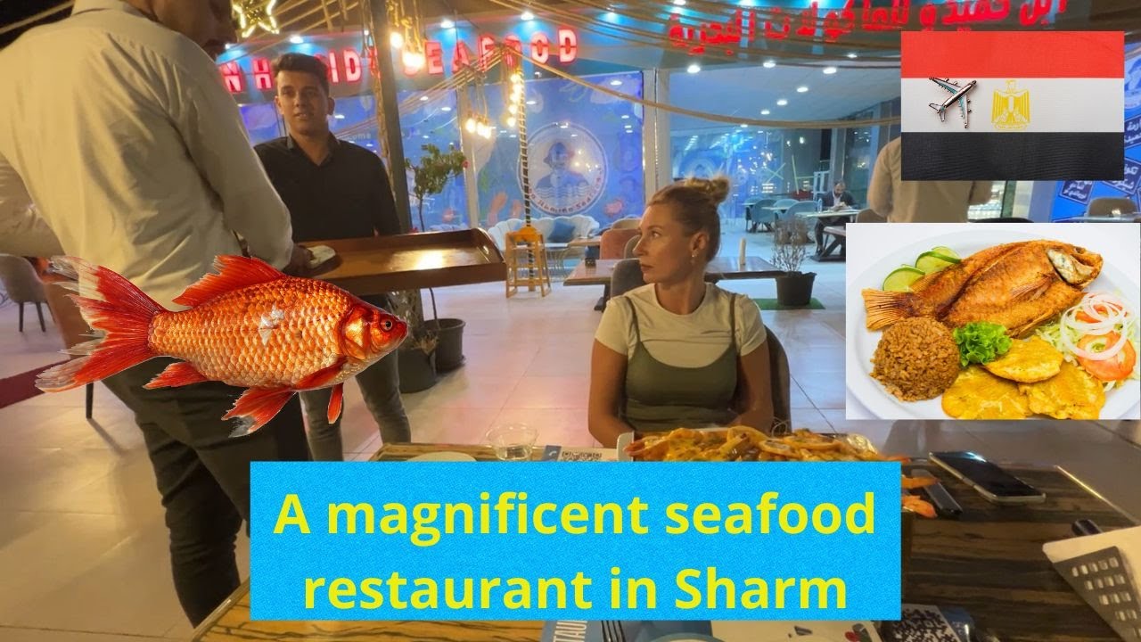 Discover the Best Seafood in Sharm El Sheikh – Ibn Hamido Restaurant
