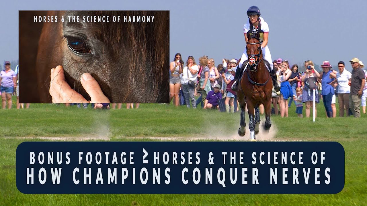 How Champions Conquer Nerves - BONUS footage from Horses & the Science of Harmony