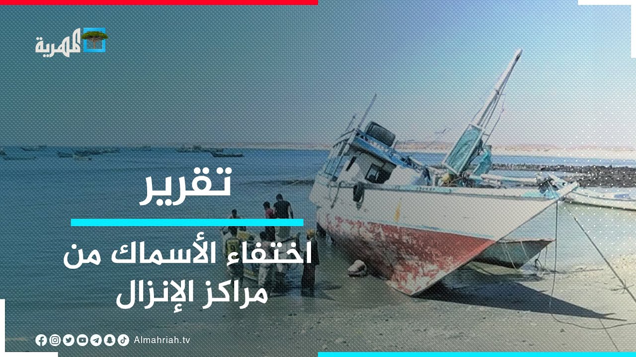 اختفاء الأسماك من مراكز الإنزال بمديرية الريدة وقصيعر بساحل حضرموت