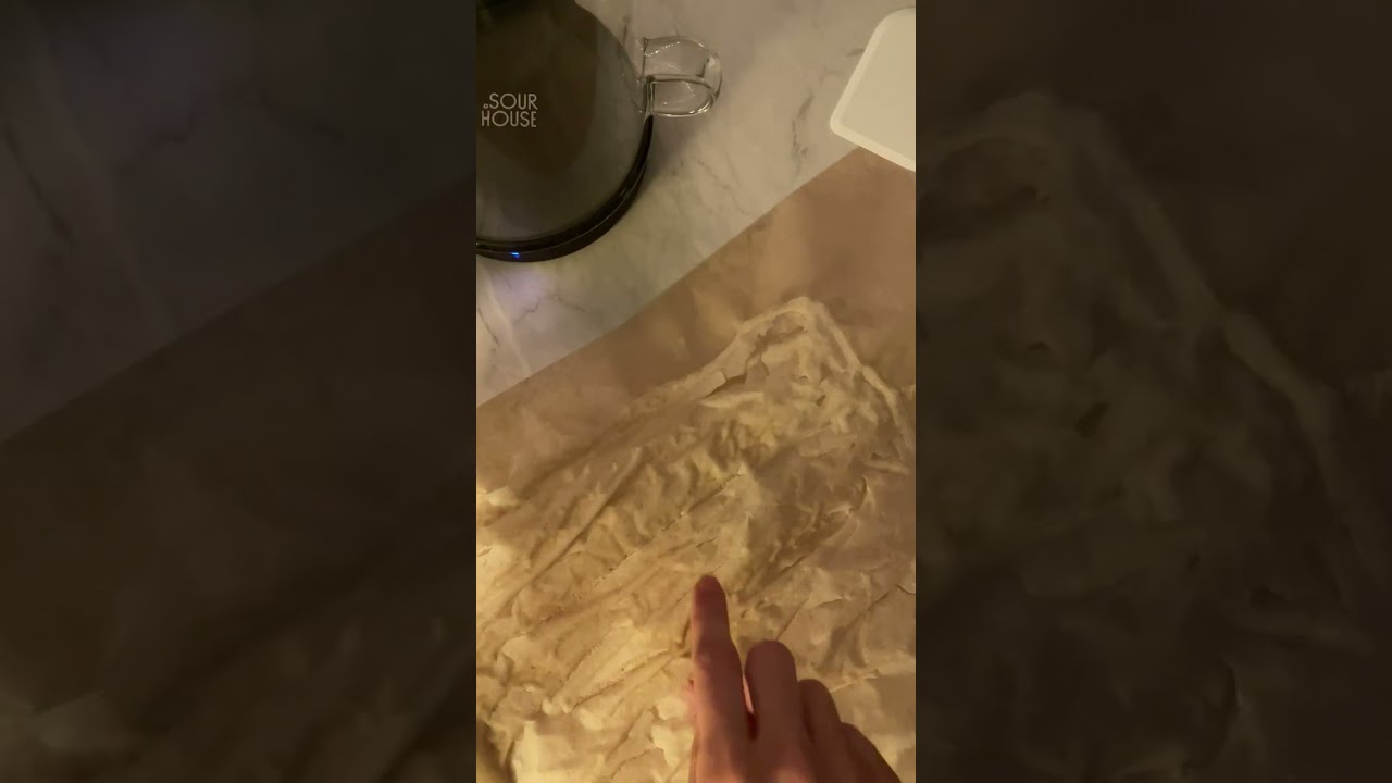 Dehydrating Sourdough Starter for Storage or Gifting (backup your starter now!)