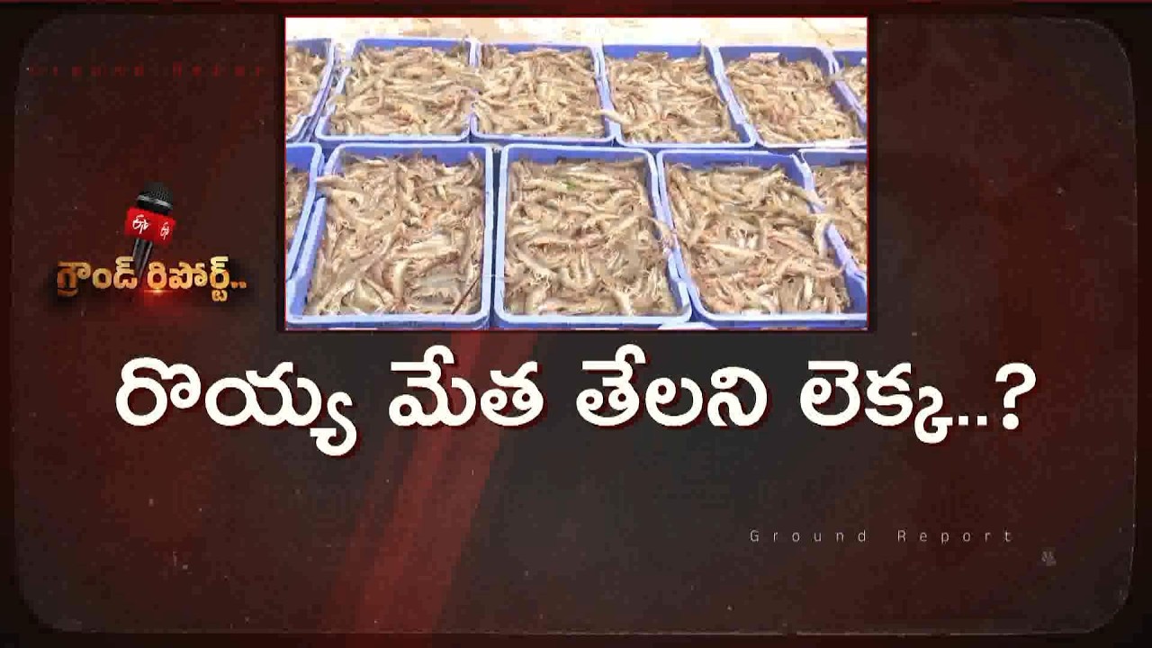 Aqua Farmers Raise Concern Over Rising Feed Prices || ETV Ground Report