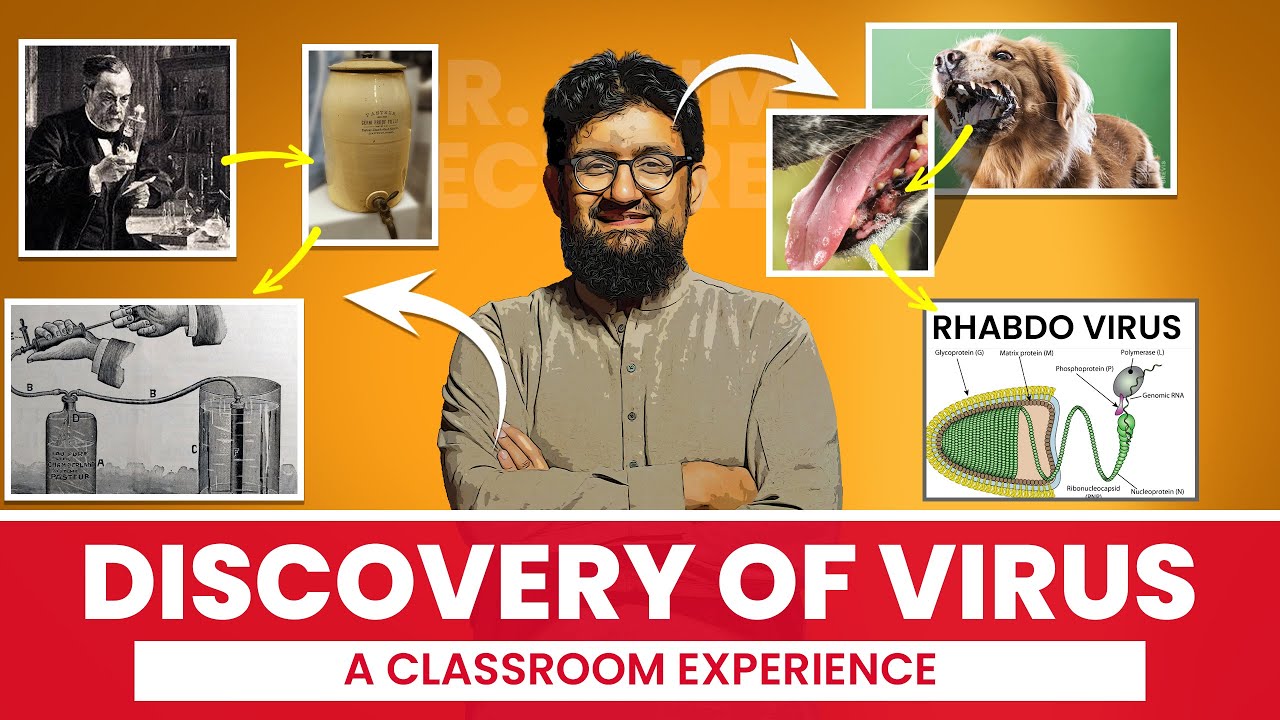 Discovery of Virus | A Class Room Experience