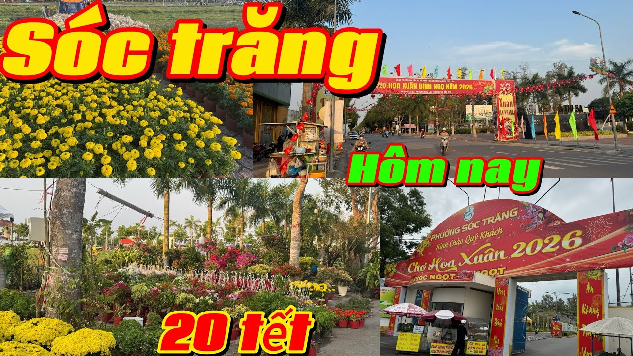🌸 20 Tết 🌸 Hoa Tết Hồ Nước Ngọt - Khu 5A - Sóc Trăng