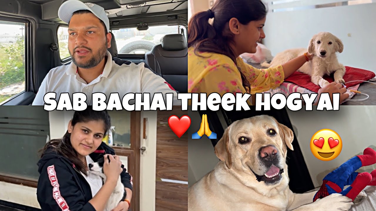 Finally Sab Puppies Ka Treatment Hogya🙏❤️