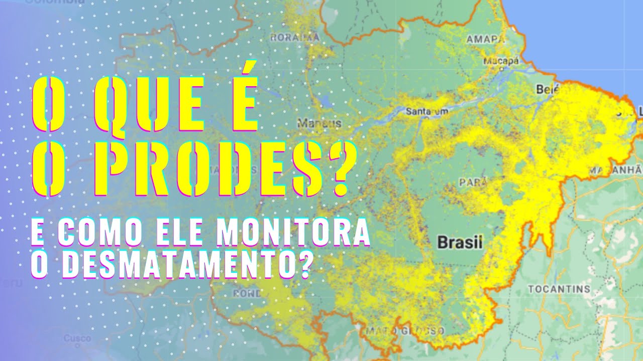 O que é o PRODES? E como ele monitora o desmatamento da Amazônia?