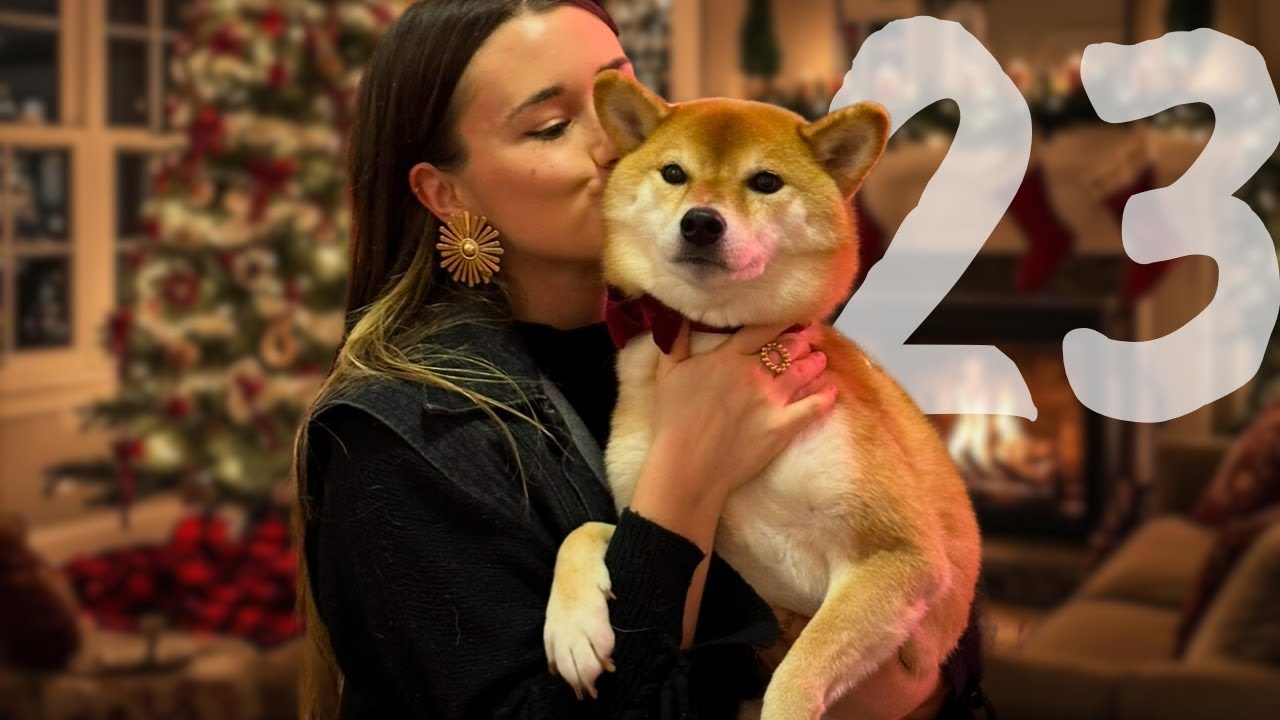 C’EST TERMINÉ ENTRE NOUS 💔  - VLOGMAS 23