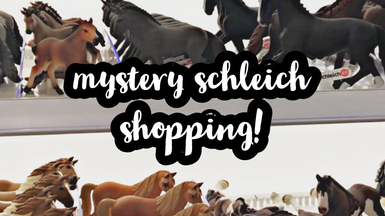 MYSTERY SCHLEICH SHOPPING WITH MY SISTER! Craftyschleichqueens
