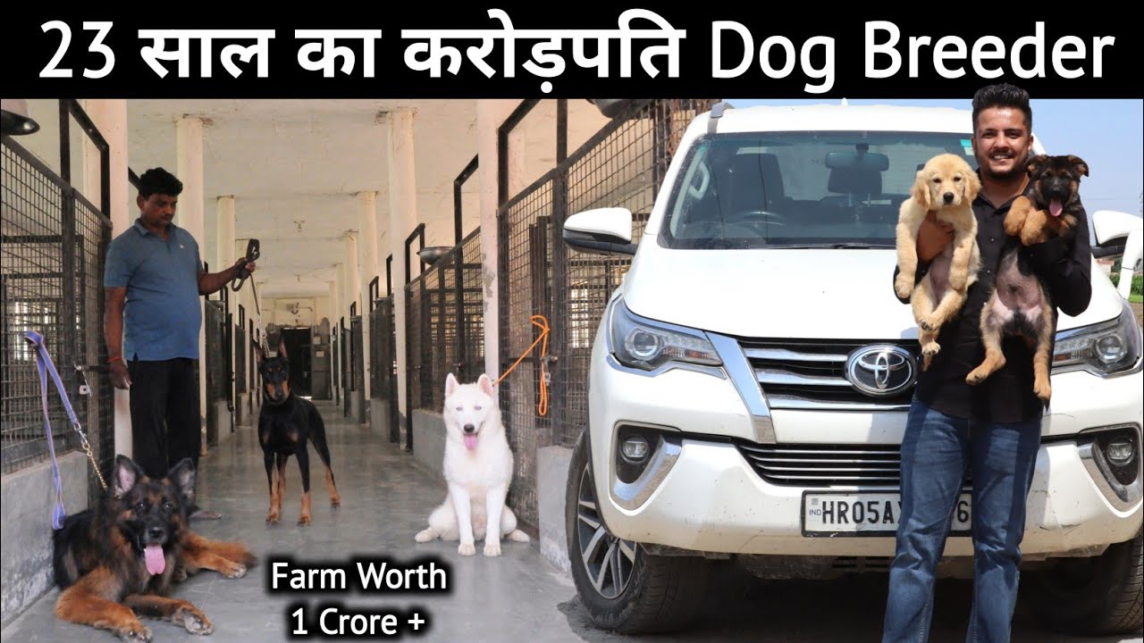 विदेश जैसा Dog Farm बना डाला इस युवा ने | Farm Worth 1 Crore | Dog Breeding Business
