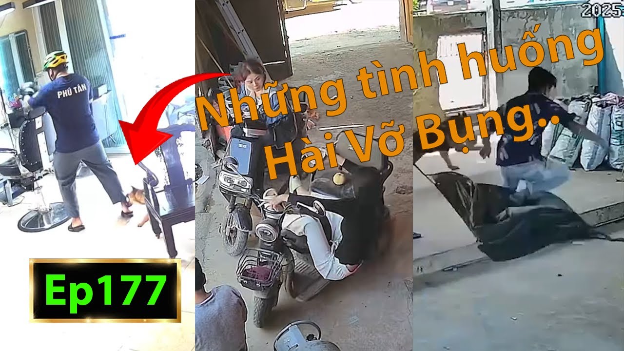 Hài Tin Việt 2025 Mới Nhất || Những Tình Huống Ngu Nhất Hành Tinh Cười Vỡ Bụng Phần 177.