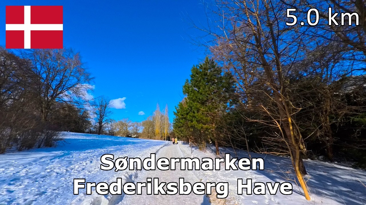 Virtual Run | Søndermarken & Frederiksberg Have | 5 km | Afternoon Run in Sunny, Winter Weather