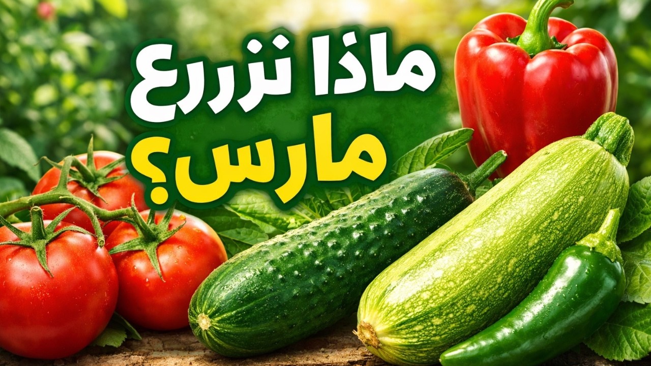 ماذا نزرع في شهر مارس؟ أهم الخضروات للزراعة في بداية الربيع