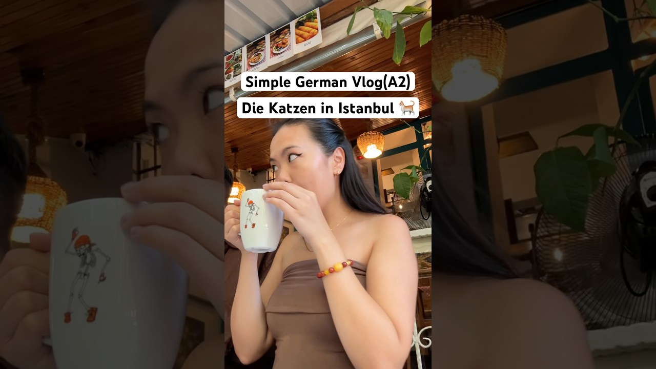 Simple German Vlog (A2): Die Katzen in Istanbul 🐈