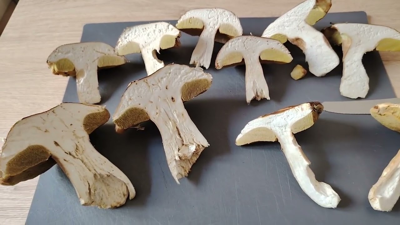 Porcini Estivi: La Verit&agrave; al Taglio (Che Nessuno Mostra)
