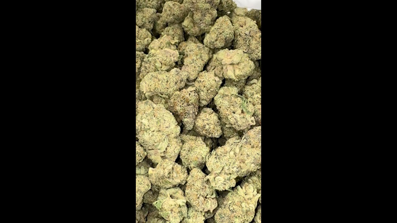 { Mexican Flan } on the menu at Cookies New Buffalo for the Michigan Grand Opening this weekend 🍪🔥
