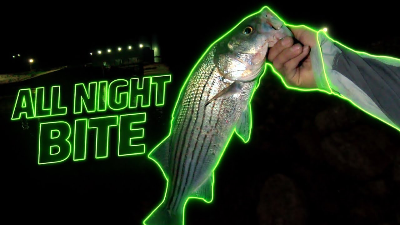 We Fished Denison Dam ALL NIGHT...
