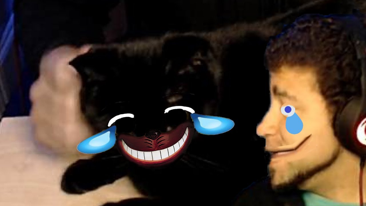 ANIMALS ARE FUNNY - Try Not To Chuckle Challenge #2