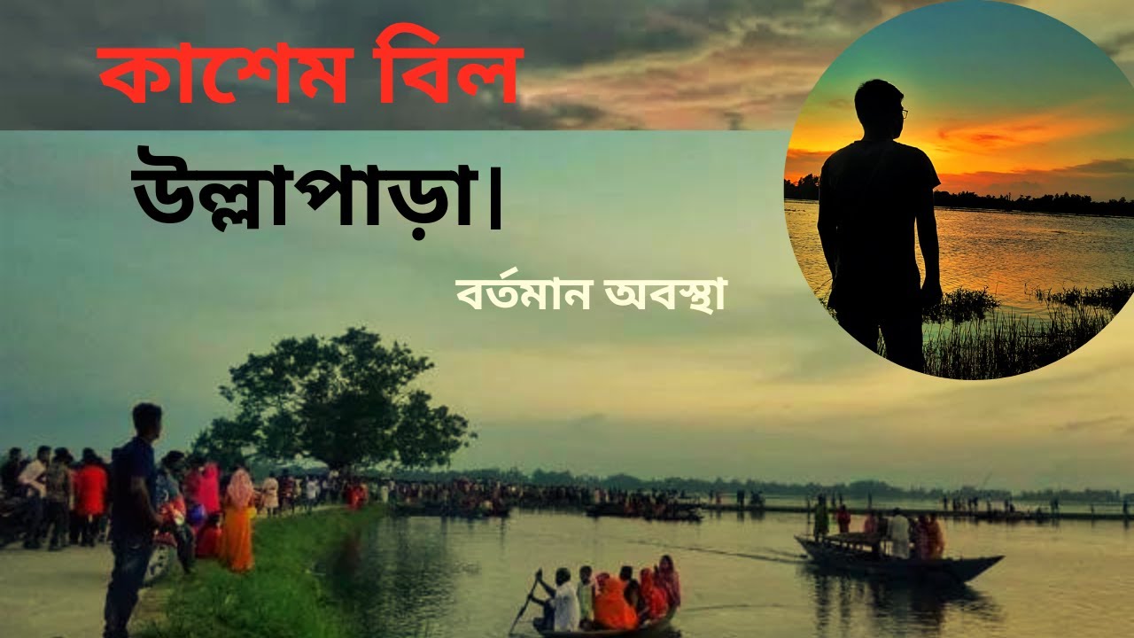 কাশেম বিল উল্লাপাড়া সিরাজগঞ্জ ।  kasem bil।  বর্ষাকালে কাশেম বিল এর অবস্থা। বর্তমান কাশেম বিল ।