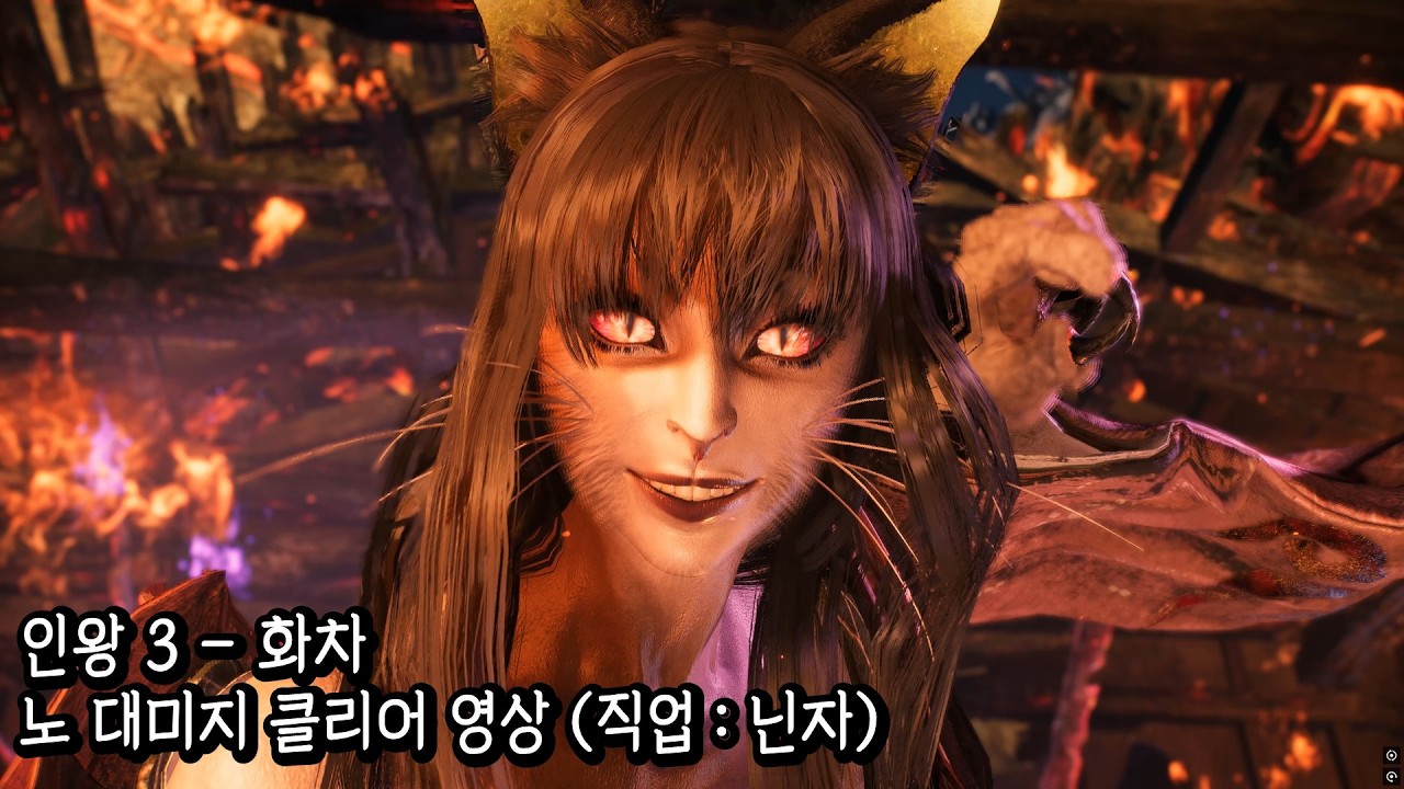 인왕3 - 화차 노 대미지 클리어 영상 (직업 : 닌자)