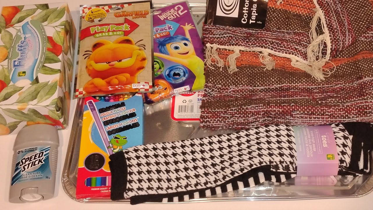 Dollarama Haul 💚 New Finds 🎉 Last of 2025