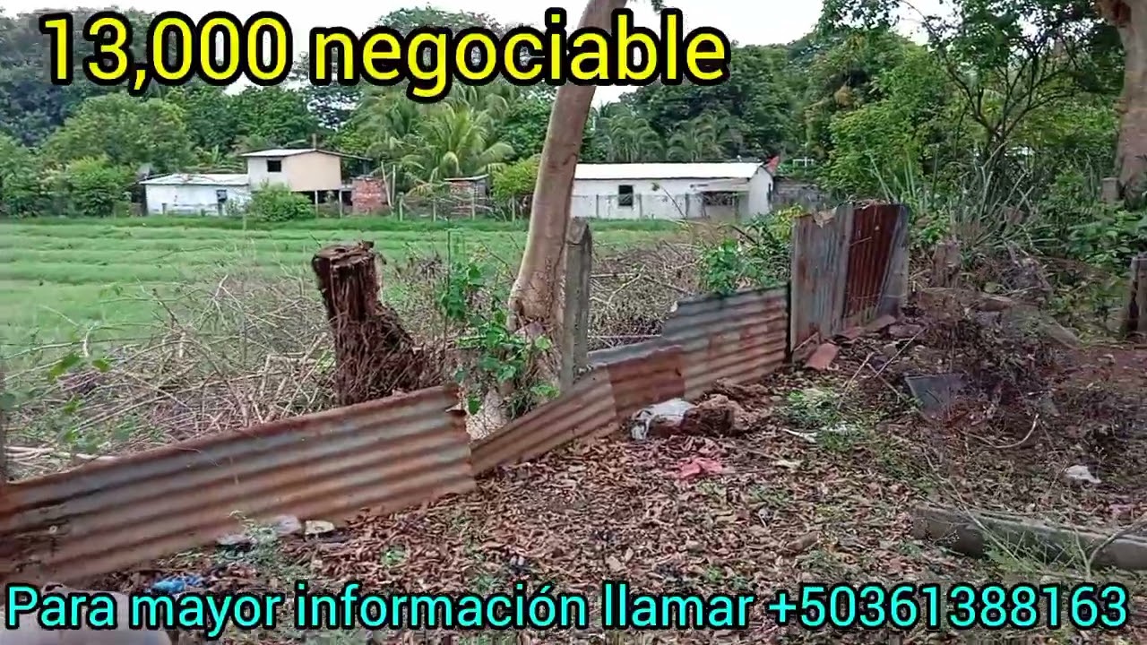 VENDIDO
