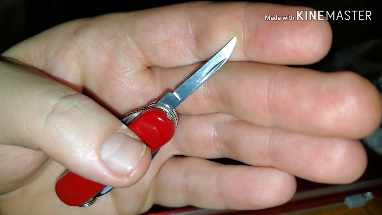 Victorinox Minichamp II Table Top Review