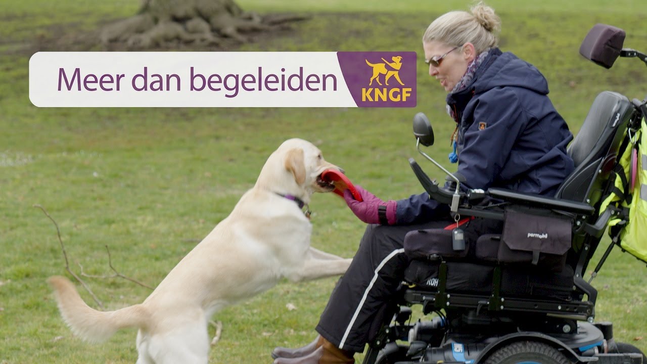 Meer dan begeleiden - Sandra en assistentiehond Dronne