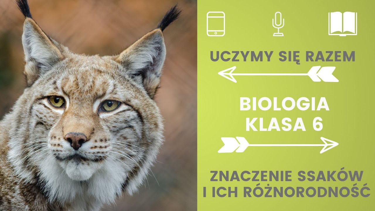 Biologia klasa 6. Znaczenie ssaków i ich różnorodność. Uczymy się razem