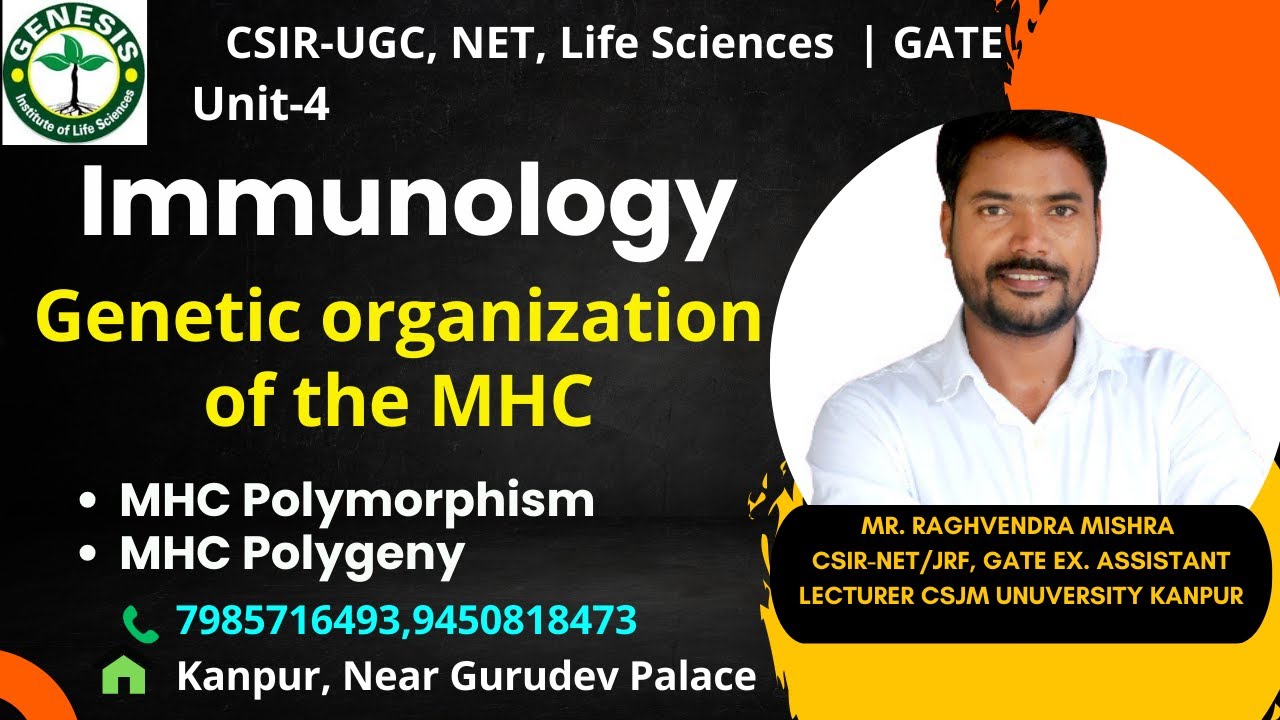 Genetic organization of the MHC | MHC Polymorphism & MHC Polygeny | Immunology#genesis_institute