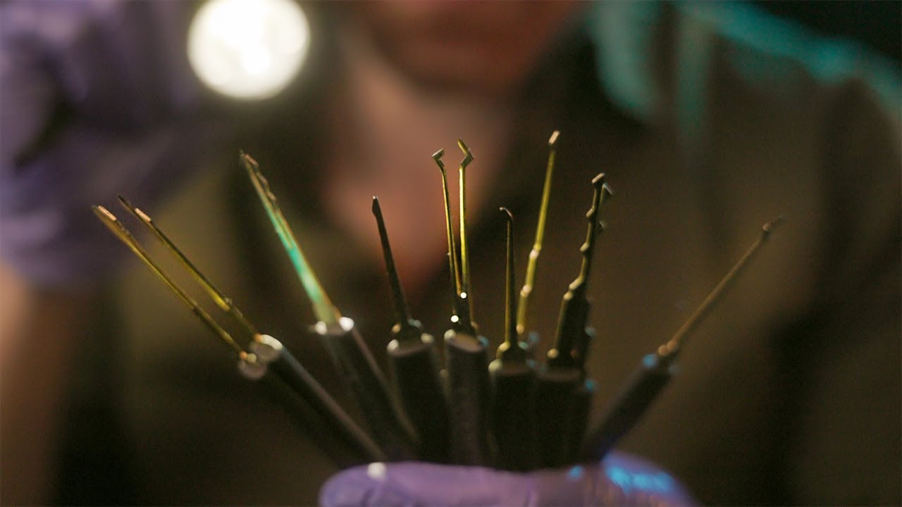 Unintelligible ASMR | Unlocking Your ASMR